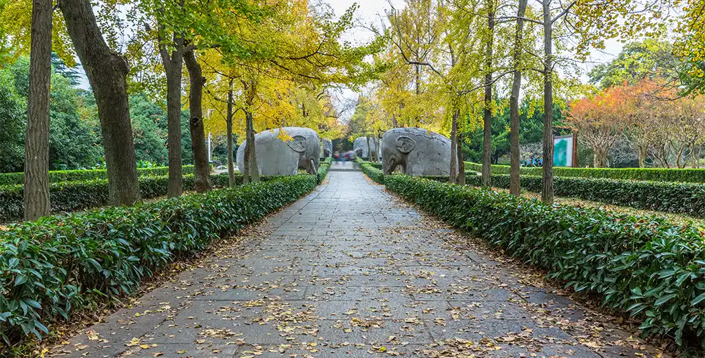 Tree-lined garden promenade